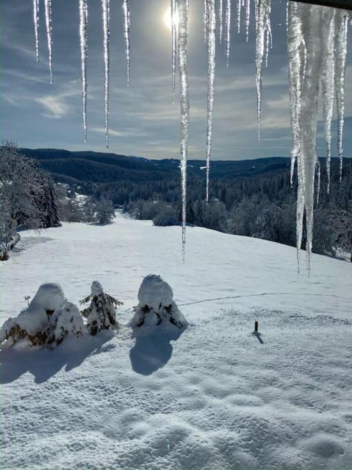 Appartement Lumineux Avec Vue Sur Les Montagnes موربييه المظهر الخارجي الصورة
